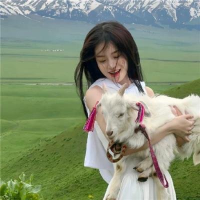 小鱼